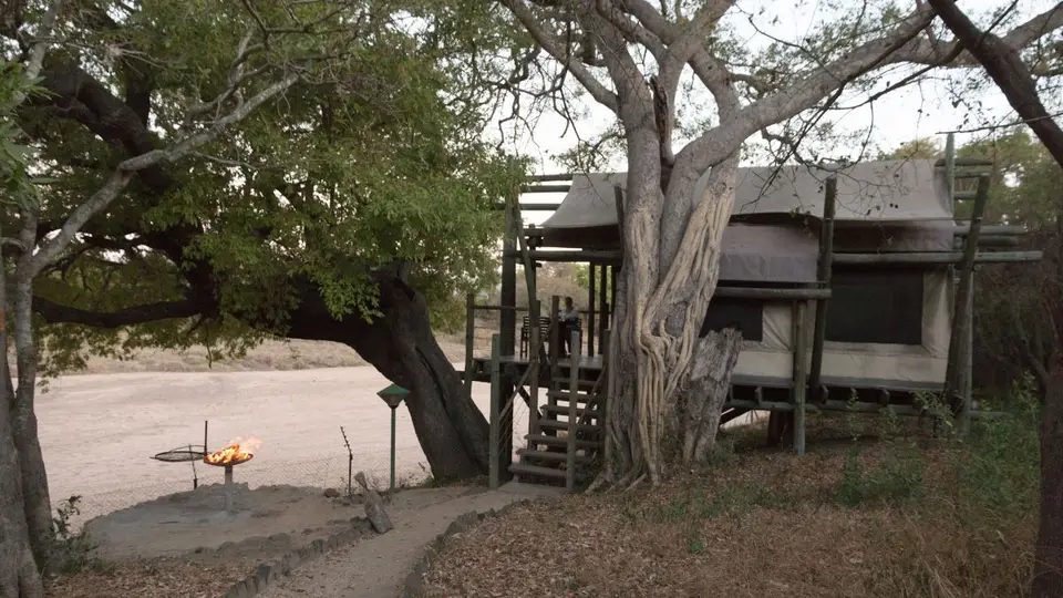 h0d221b0.jpg