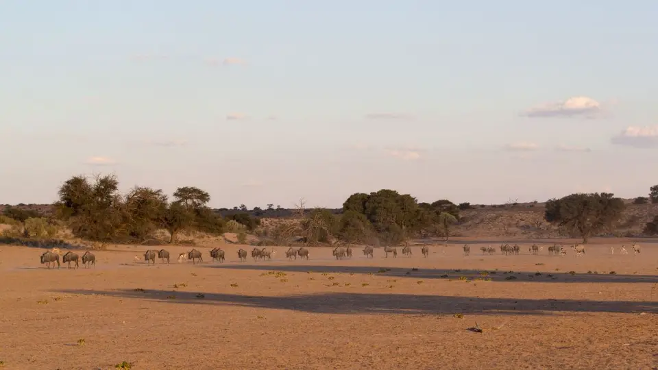 h20cda97.jpg