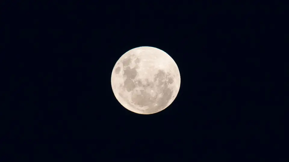 h32b0092.jpg