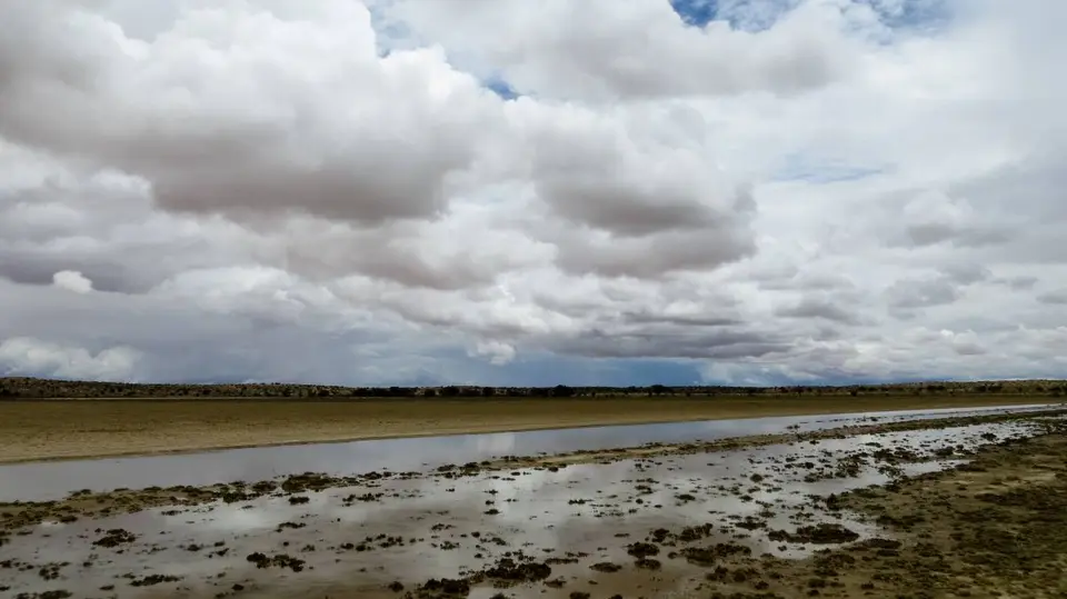 h51b3f08.jpg