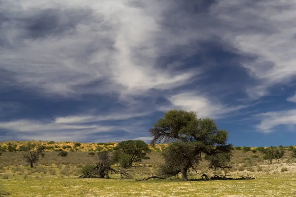 hb5a0fca.jpg