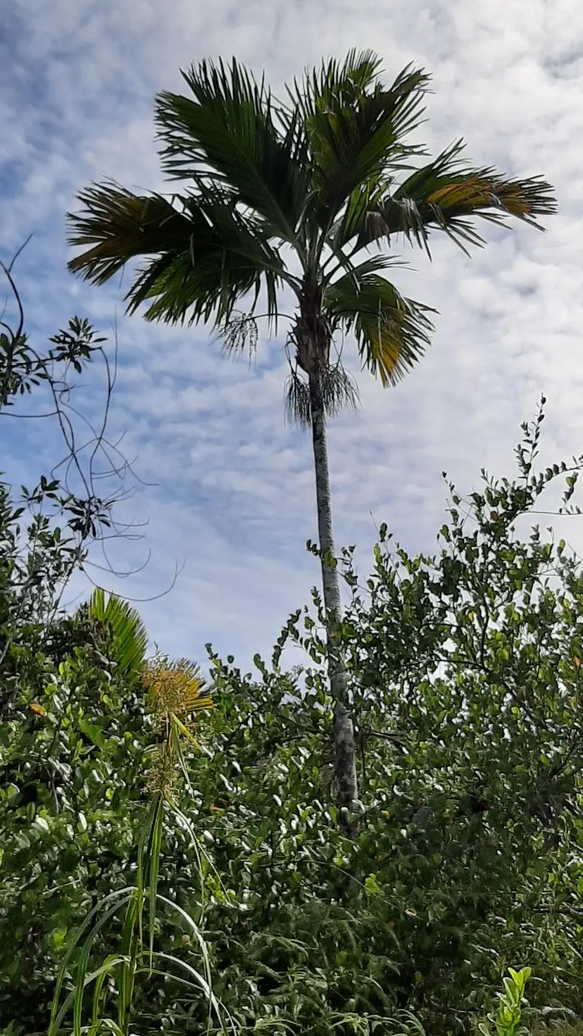 20190929_092621.jpg