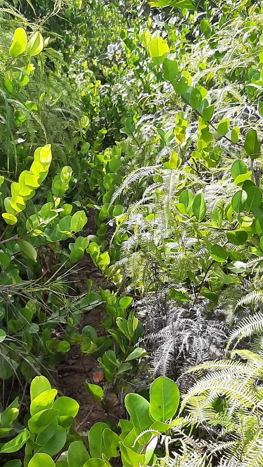 20190929_094443.jpg