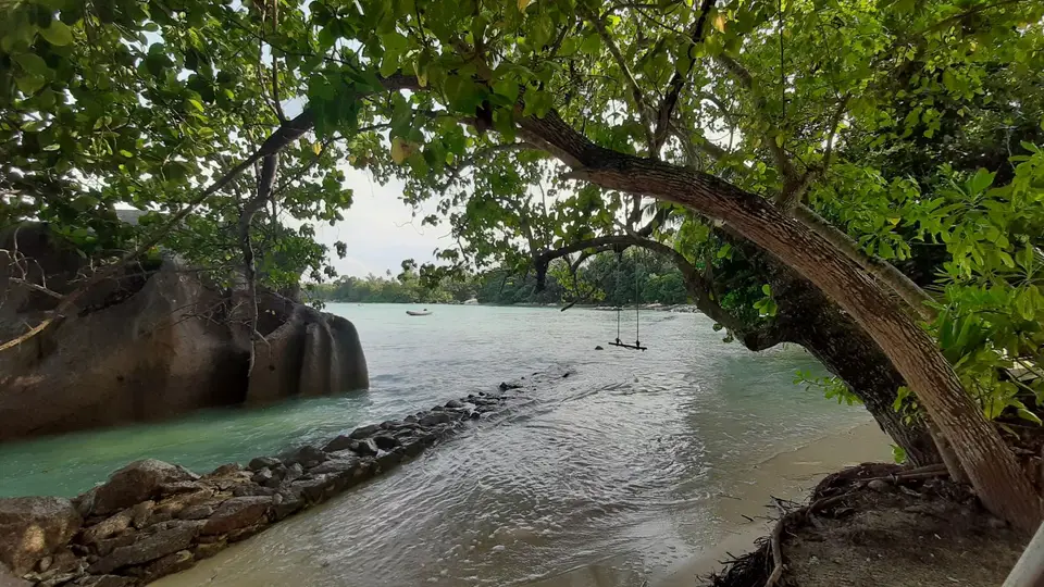 20191003_080100.jpg