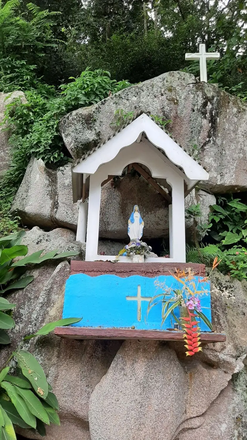 20191003_113059-2.jpg