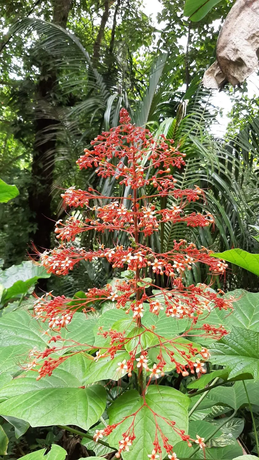 20191003_134047-2.jpg
