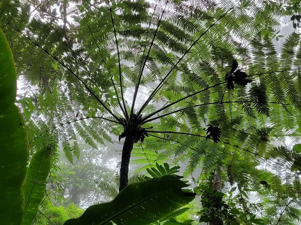 20230401_090010.jpg