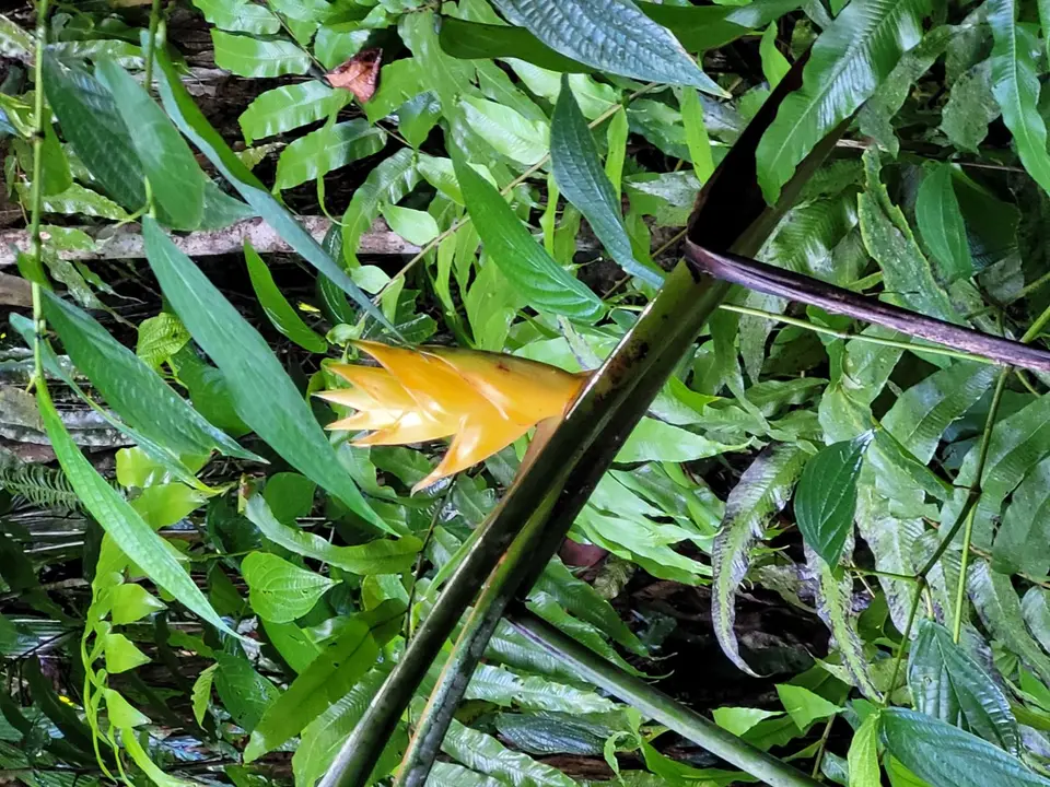 20250226_092502.jpg