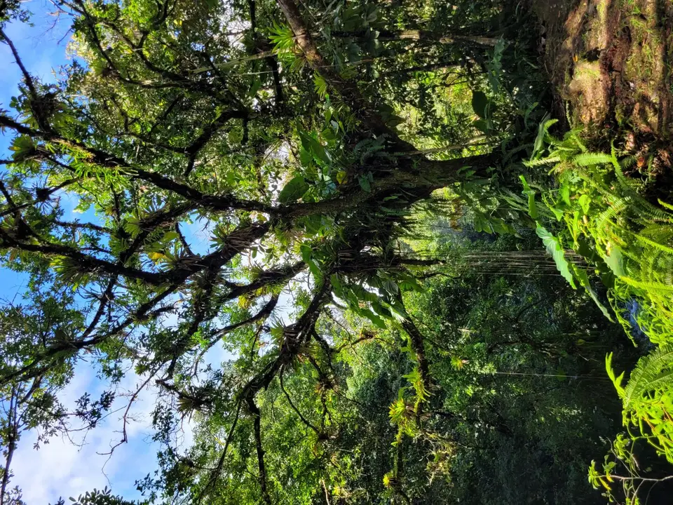 20250226_094037.jpg