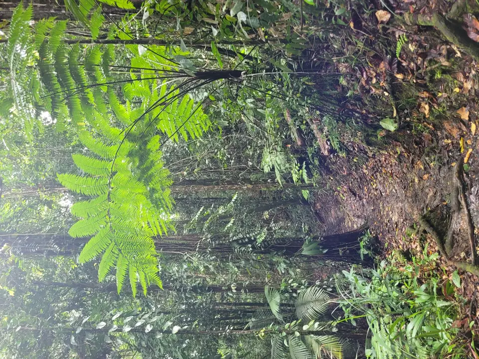 20250226_102337.jpg