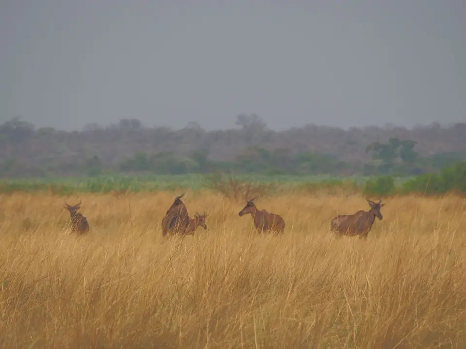 PA022477.JPG