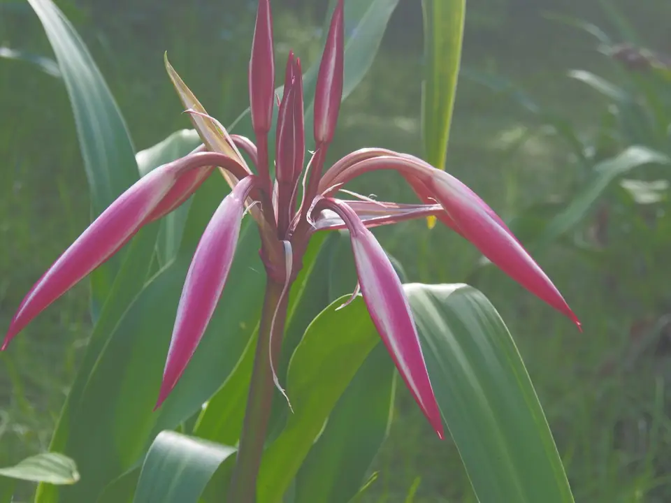 PA038808.JPG