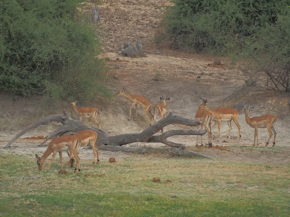 PA053224.JPG