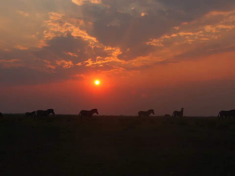 PA053265.JPG
