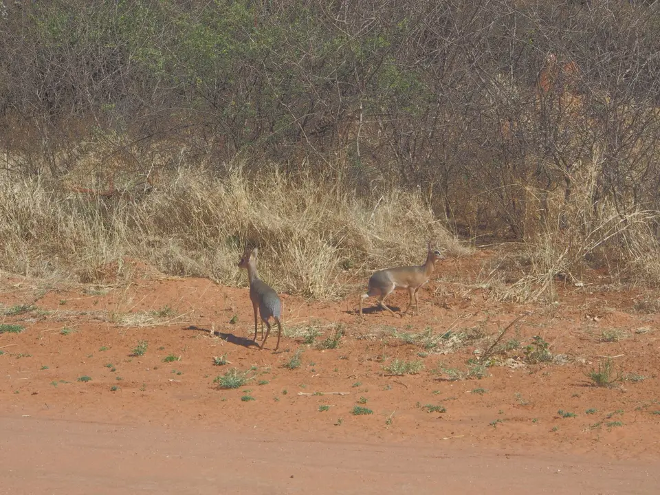 PA103880.JPG