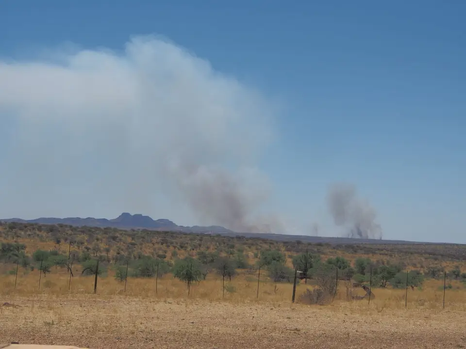 PA110419.JPG