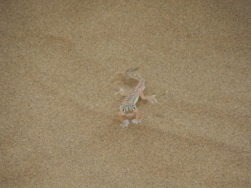 k-DSCN2789.JPG