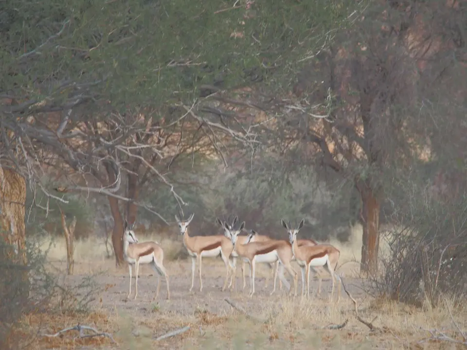 k-PA032306.JPG