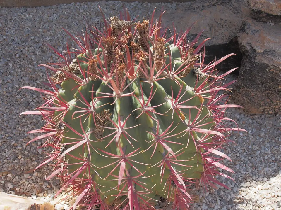 k-PA042360.JPG