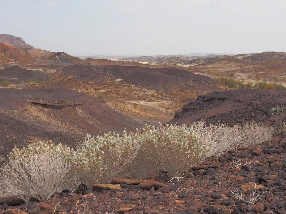 k-PA052456.JPG