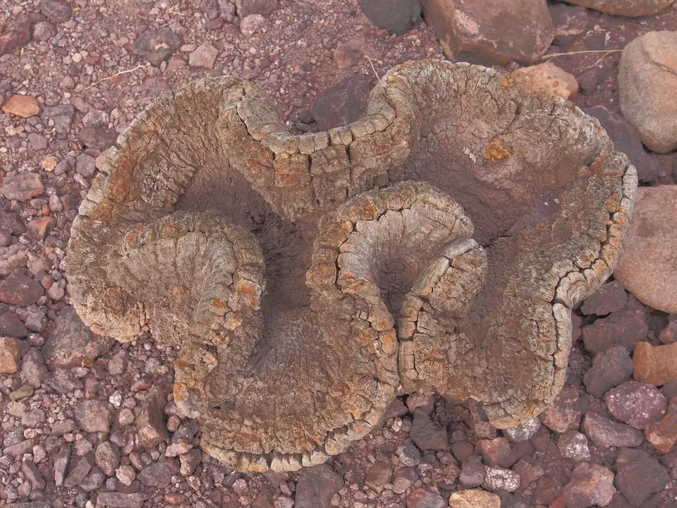 k-PA052459.JPG