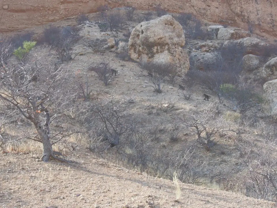 k-PA062583.JPG