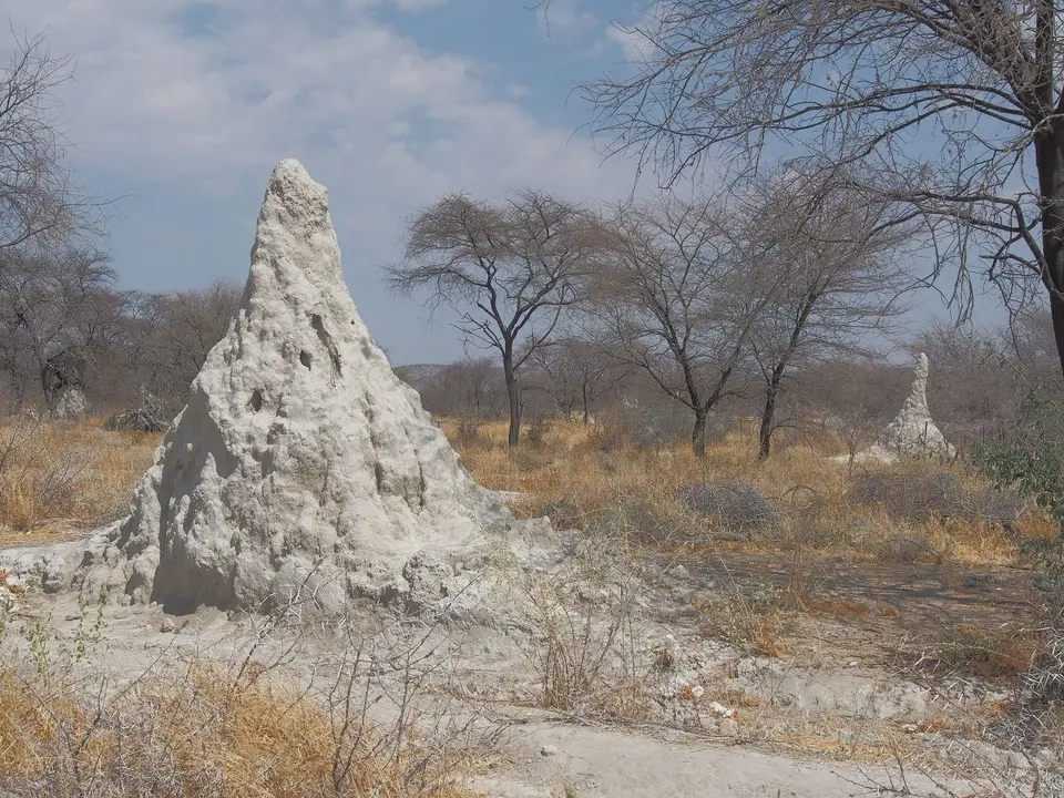 k-PA062595.JPG