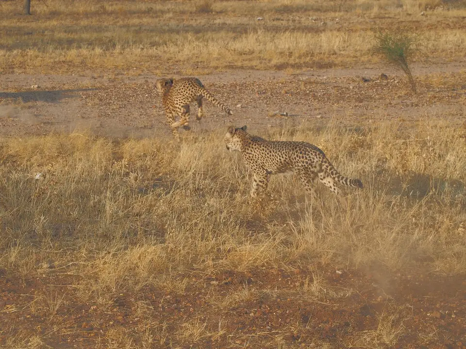 k-PA062816.JPG