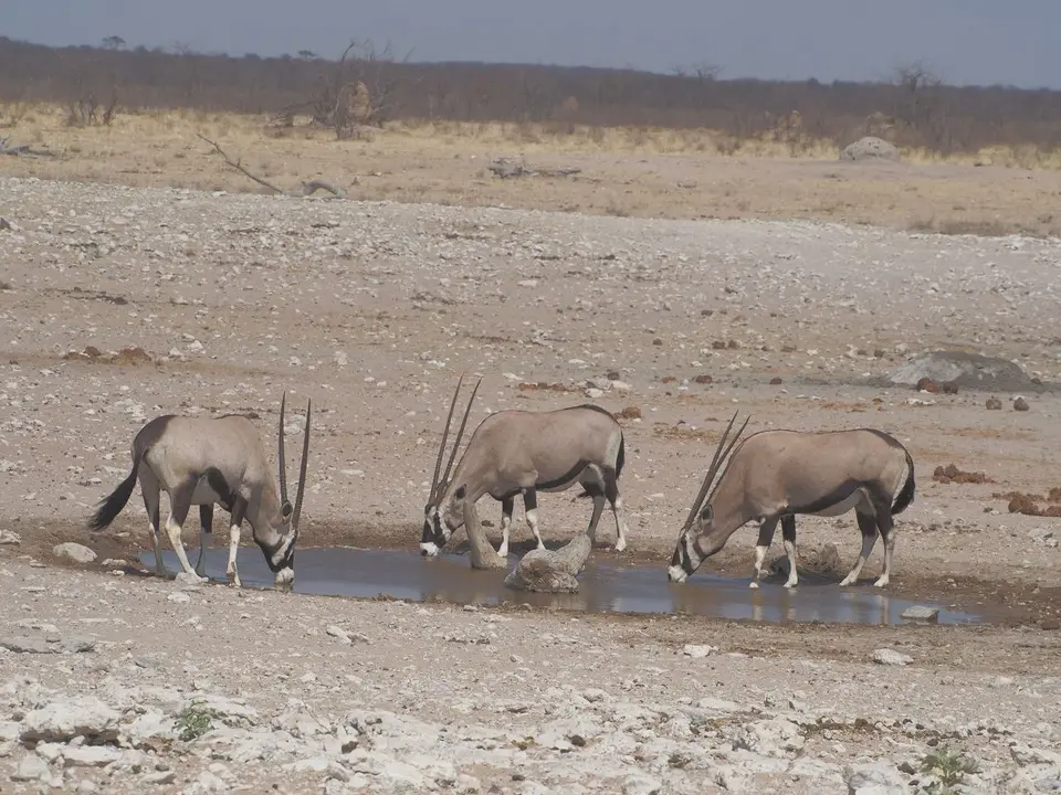 k-PA072871.JPG