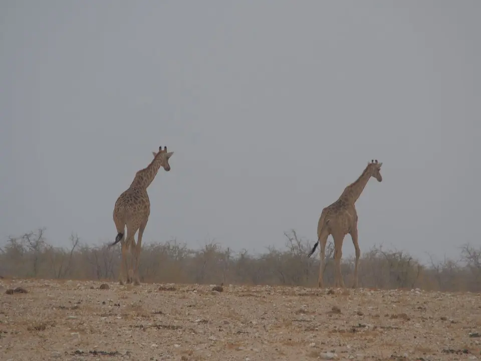 k-PA072965.JPG