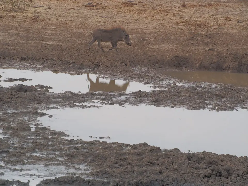 k-PA073019.JPG