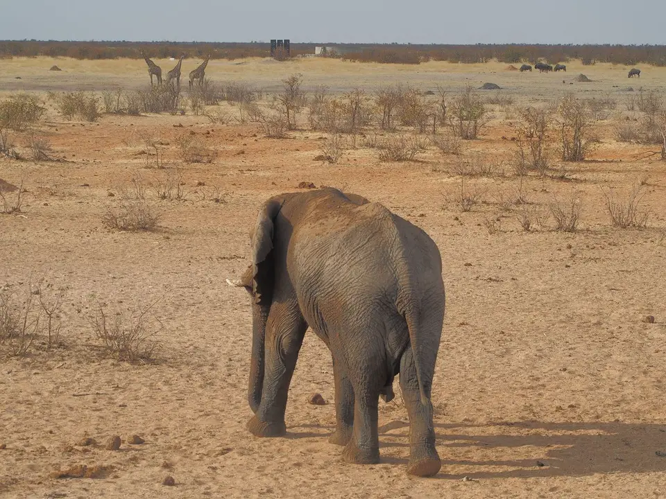 k-PA073026.JPG
