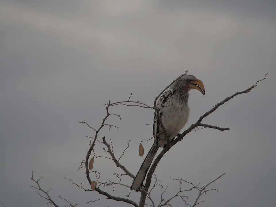 k-PA083096.JPG