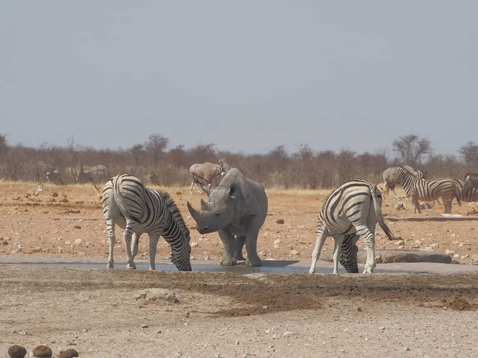 k-PA083230.JPG