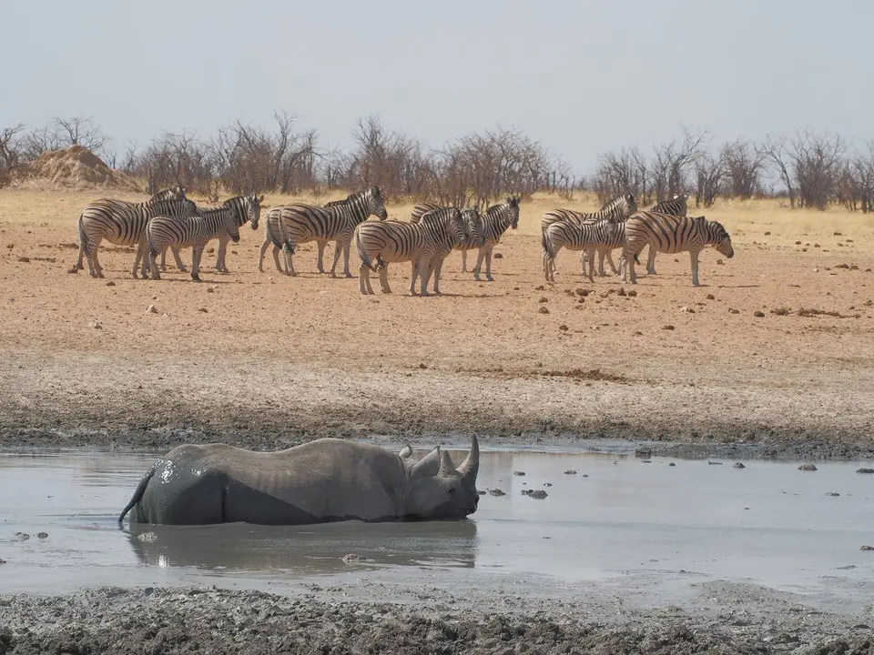 k-PA083259.JPG