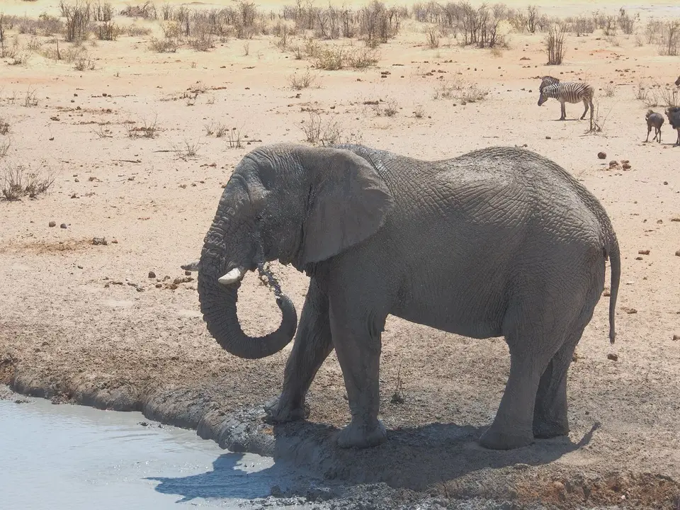 k-PA083501.JPG
