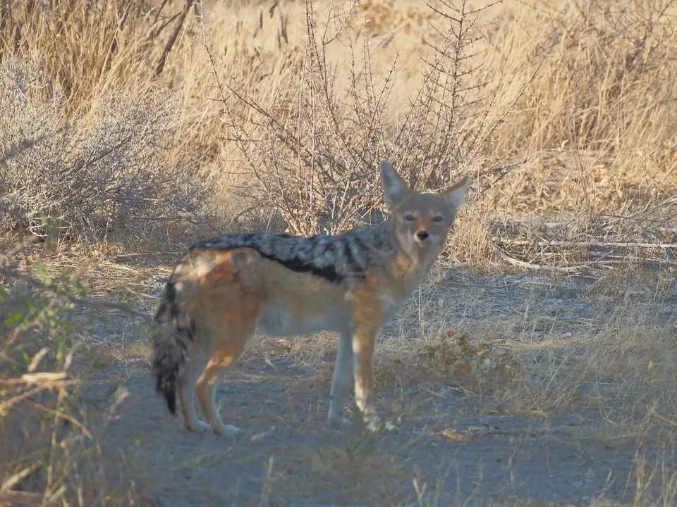 k-PA094028.JPG