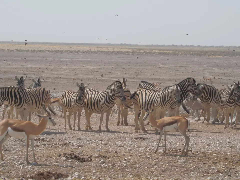 k-PA094060.JPG