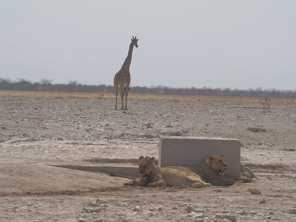 k-PA094080.JPG