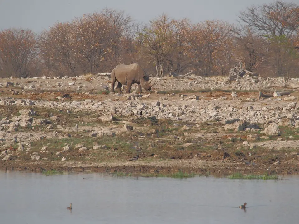 k-PA094282.JPG