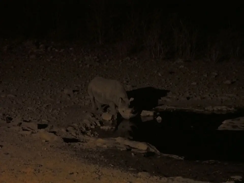 k-PA094561.JPG