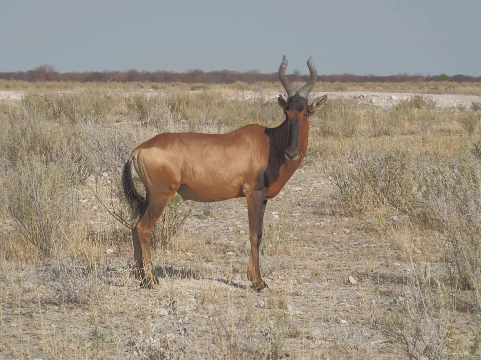 k-PA104696.JPG