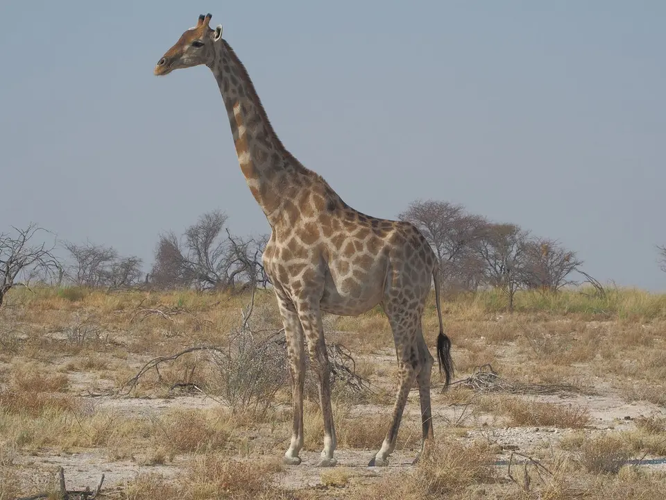 k-PA104739.JPG