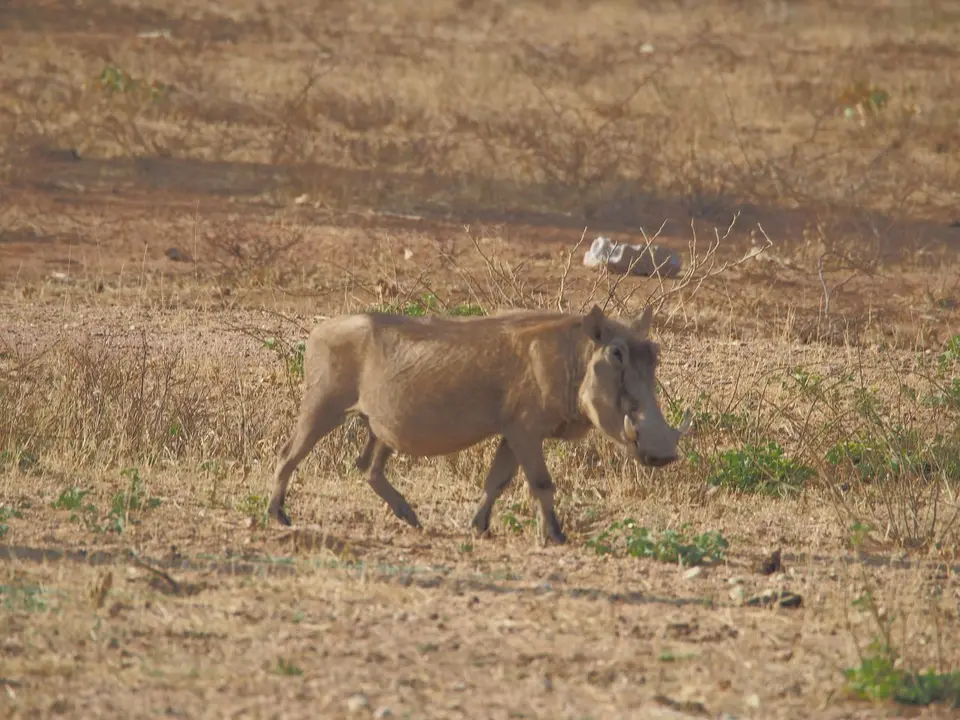 k-PA115174.JPG