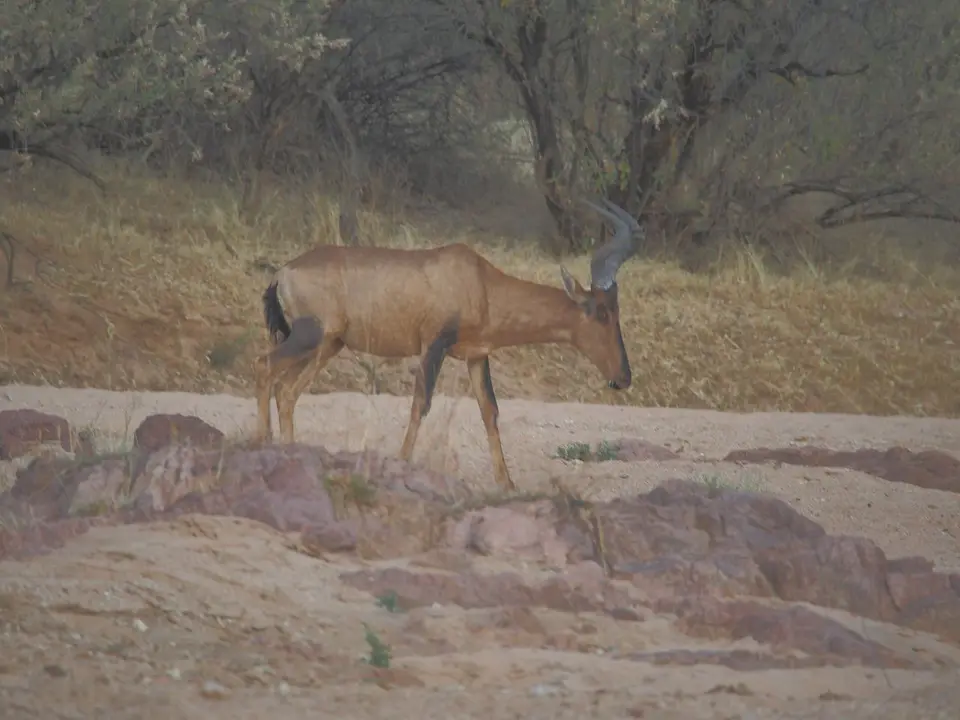 k-PA125252.JPG