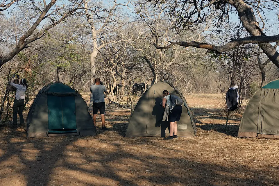 ChobeCampsite.jpg