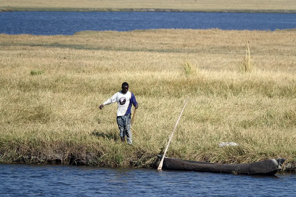 Chobe_2Fischer.jpg