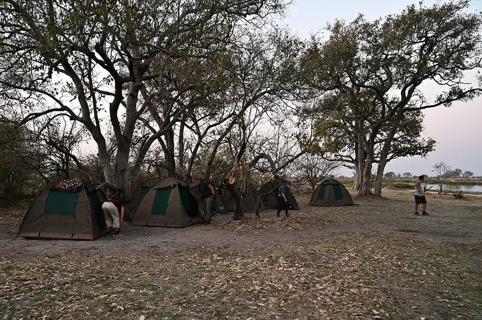 Moremi2_Camp.jpg