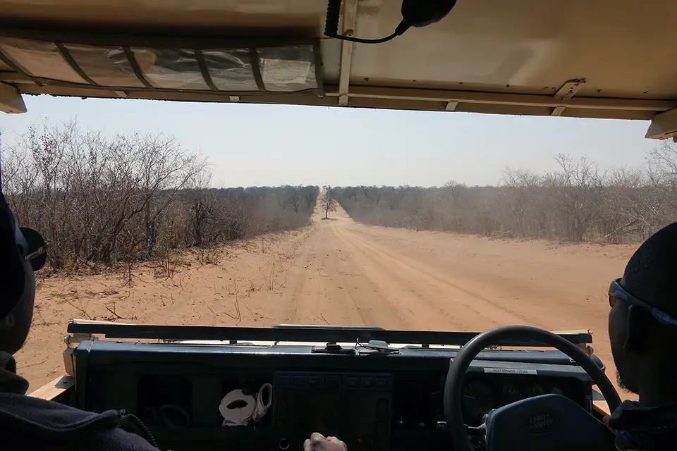 TransferSavuti-Chobe3.jpg