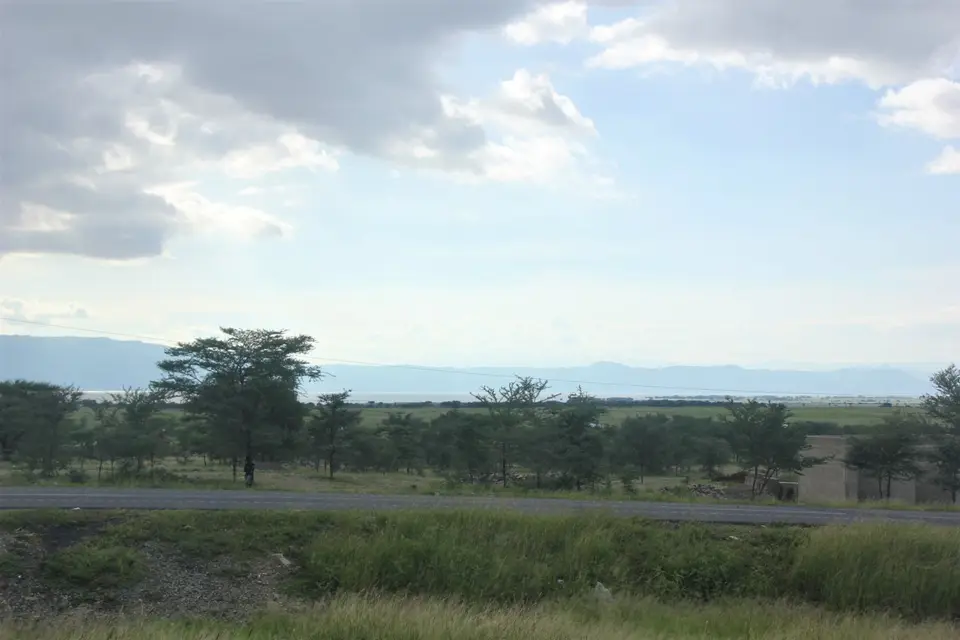 A99.jpg